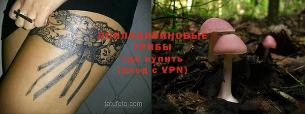 винт Беломорск