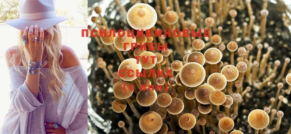 винт Беломорск
