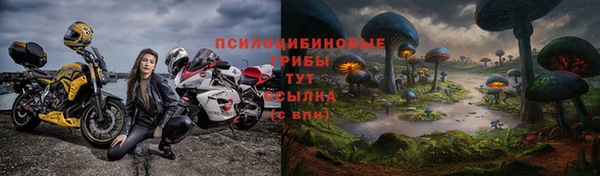 PSILOCYBIN Белоозёрский