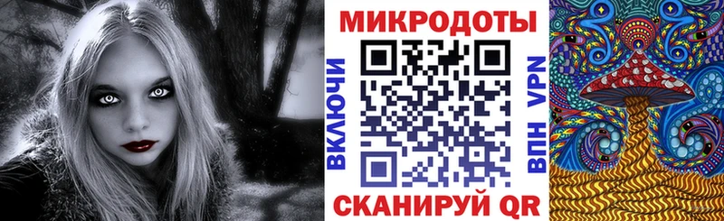 где найти   Нарьян-Мар  Псилоцибиновые грибы Psilocybe 